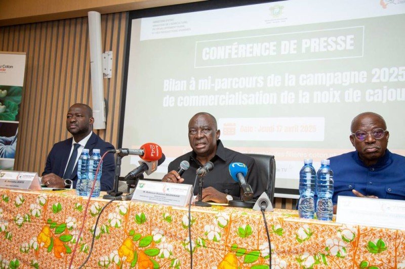 Noix de cajou/Campagne 2025 : 900 000 tonnes déjà commercialisées